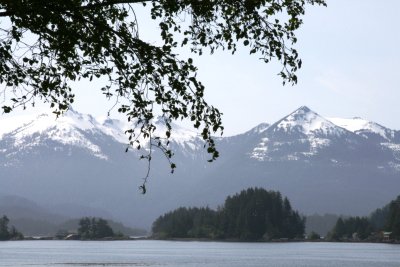 IMG_5705AC.JPG