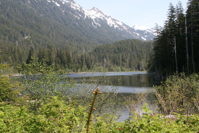 IMG_5811.JPG