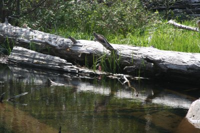 IMG_5824.JPG