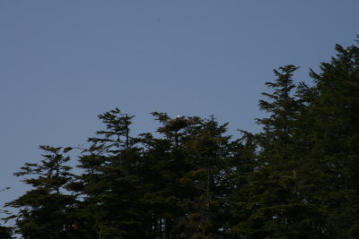 IMG_5906.JPG