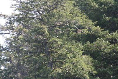 IMG_5915.JPG
