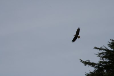 IMG_5916.JPG