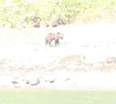 IMG_5960cropped.JPG