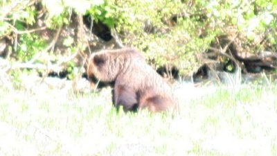 IMG_5983CRAC.JPG