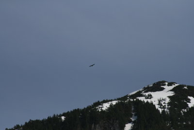 IMG_6018.JPG
