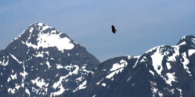 IMG_6078CRAC.JPG