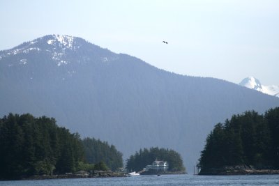 IMG_6089.JPG
