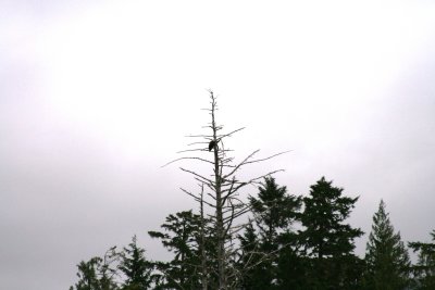 IMG_6306.JPG