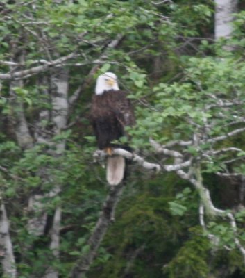 IMG_6315Cropped.JPG
