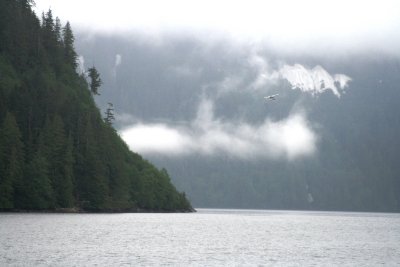 IMG_6355.JPG