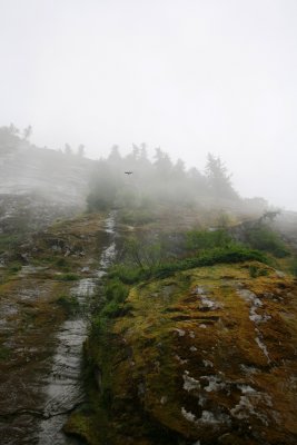 IMG_6446.JPG