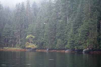 IMG_6473.JPG