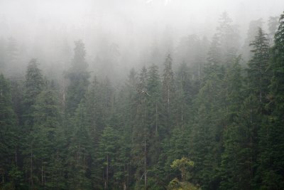 IMG_6474.JPG