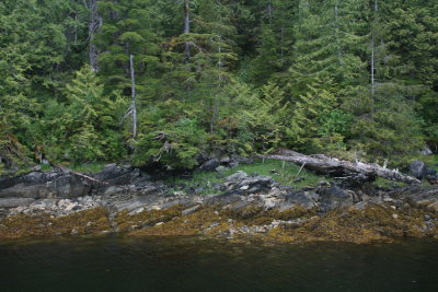 IMG_6574.JPG