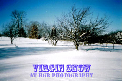 Copy 2 of HGR  Tennessee Virgin Snow copy.jpg