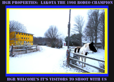 Snow Lakota and HGR Marquis.jpg