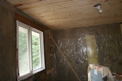 Kitchen Windows