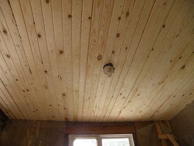 Kitchen Ceiling