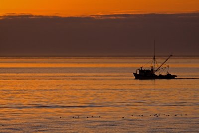 Oyster Boat 2