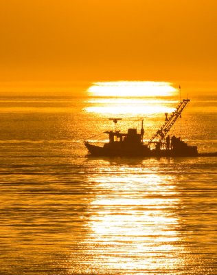 Oyster Boat 4