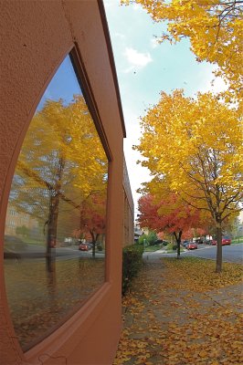 DSC_0110.JPG