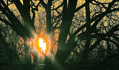 IMG_5286_2.JPG