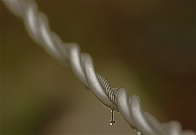 IMG_1378.jpg