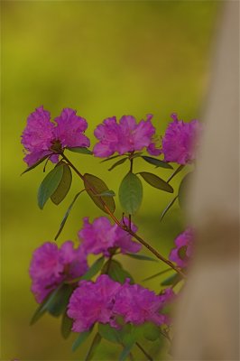 IMG_3304.jpg