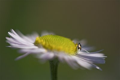 IMG_0608.jpg