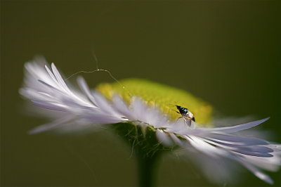 IMG_0619.jpg