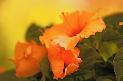IMG_1448_2.jpg