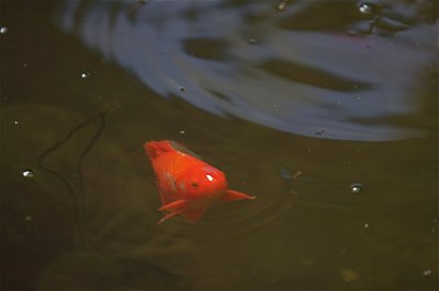 IMG_3904.jpg