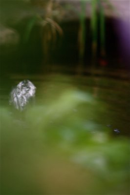 IMG_0743.jpg