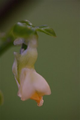 IMG_2668.jpg
