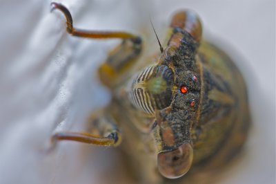 IMG_5766.jpg