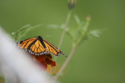 IMG_6855.jpg