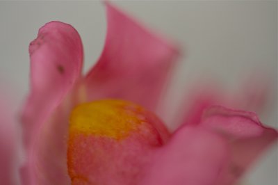 IMG_6768.jpg