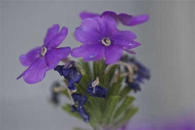 IMG_5781.jpg