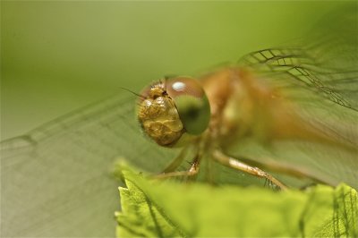 IMG_8381.jpg