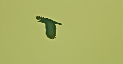 IMG_0607.jpg