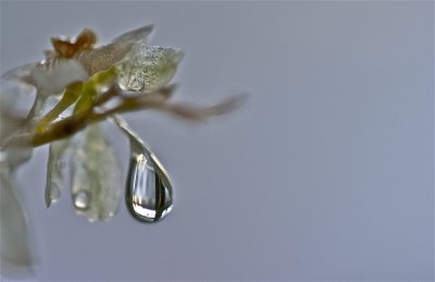 IMG_5548.jpg