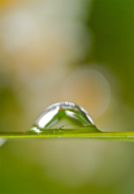 IMG_5778.jpg