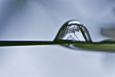 IMG_5897.jpg
