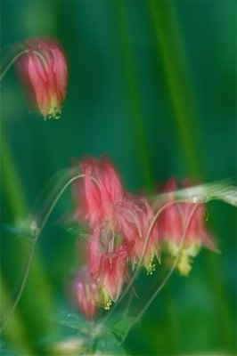IMG_0702_2.jpg