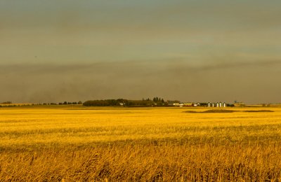 Distant Farm