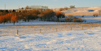 Late afternoon light...