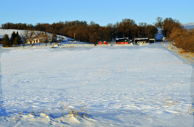 Grand Valley farm