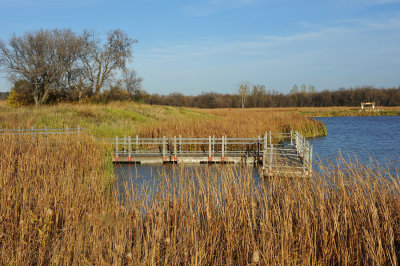 Little Bridge and Reeds