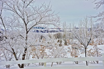 Hoar Frost at Grand Valley