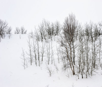 Wintry hill...